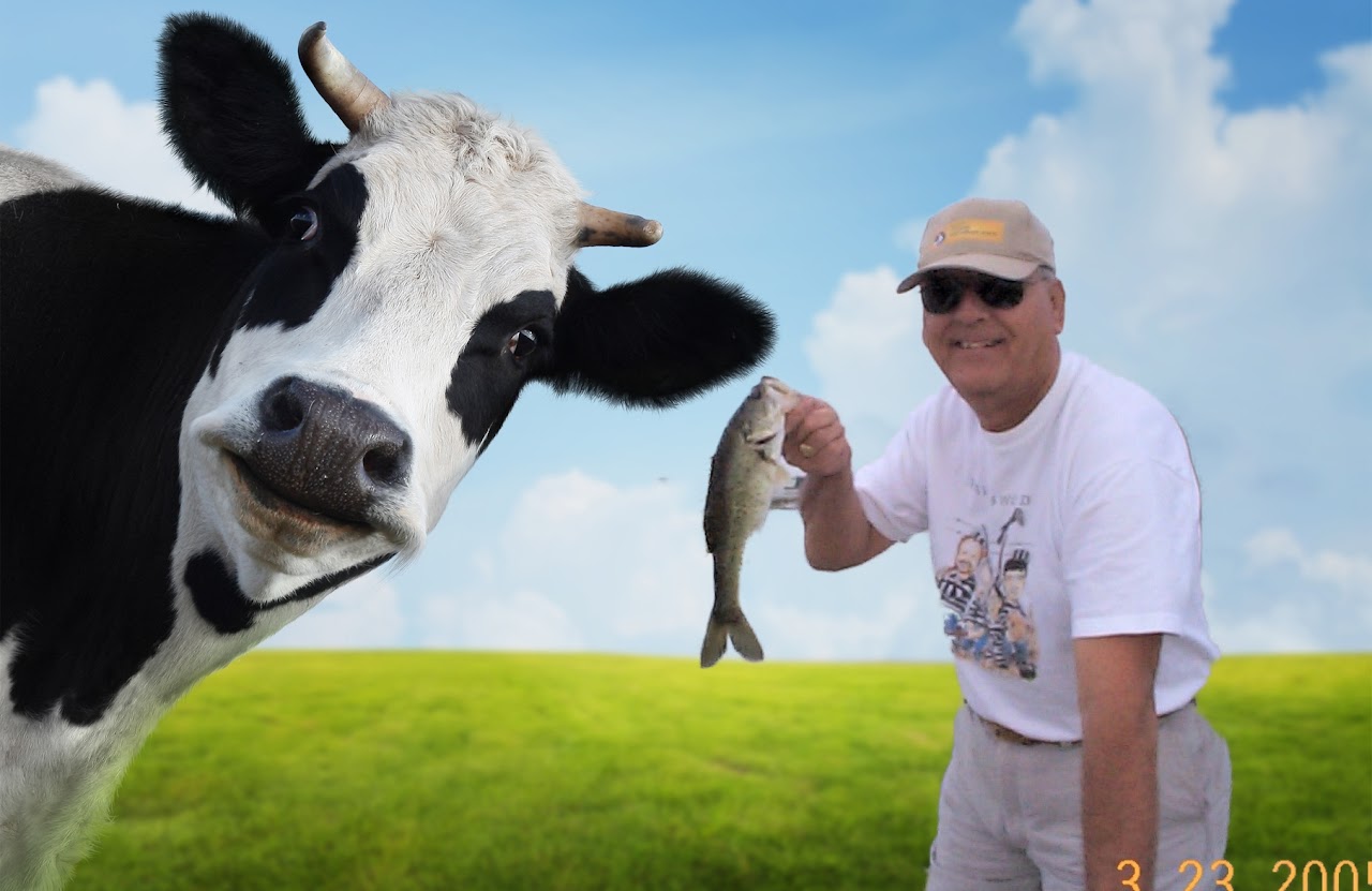 DCP03770 (2)_InPixio_InPixio.jpg