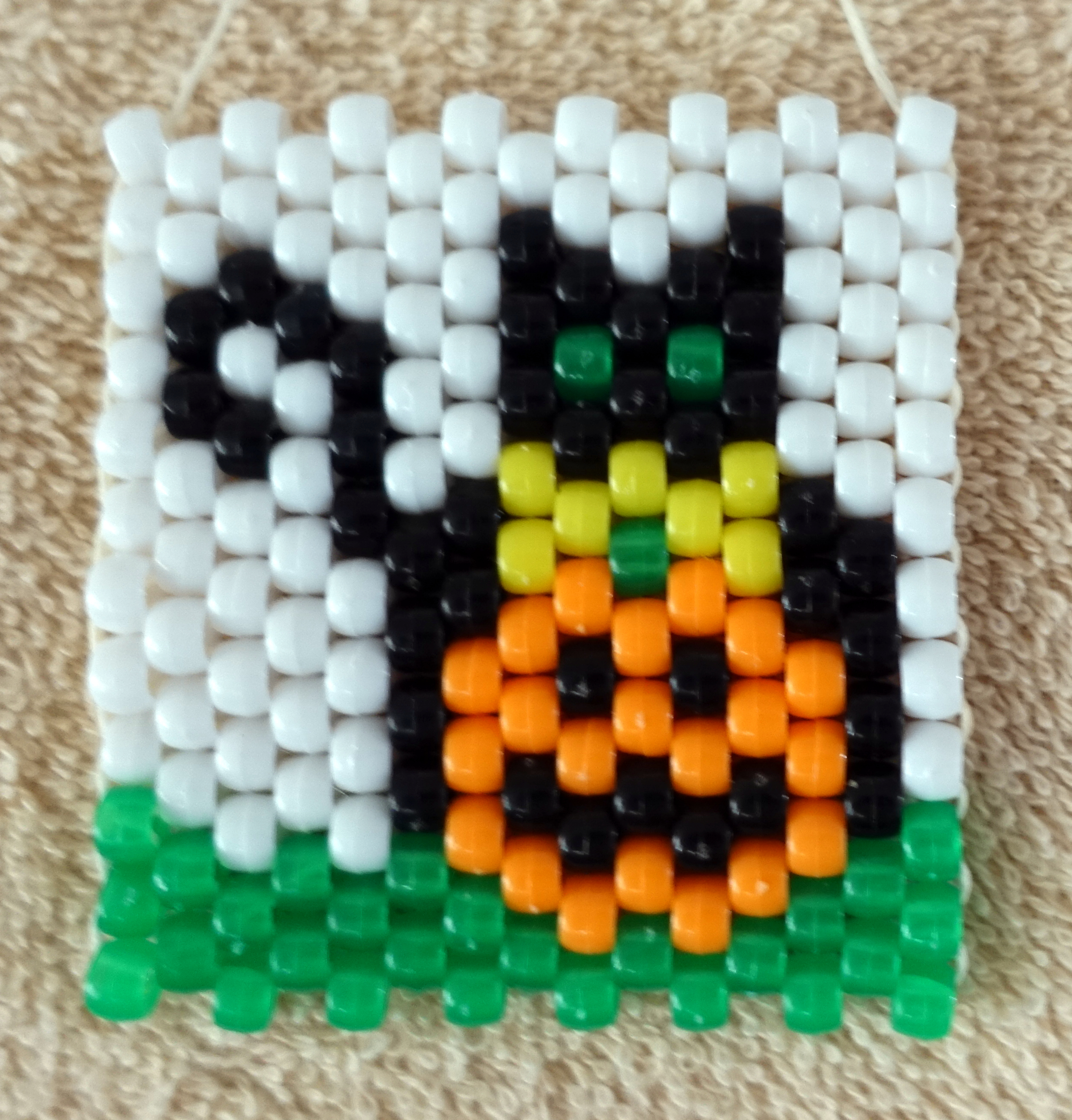 DSC00095F.jpg